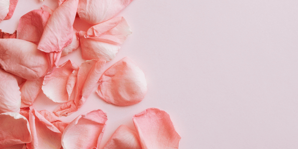淺粉紅色、櫻花粉是什麼？3大優點說明、淡粉色配色提案